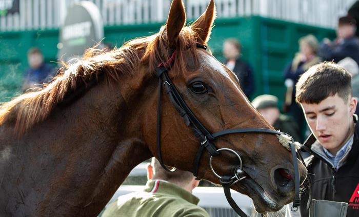 Chepstow Racecourse Photography